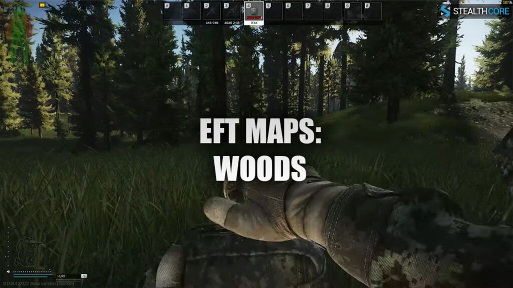 Woods Escape From Tarkov Map