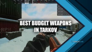 best budget weapons in tarkov