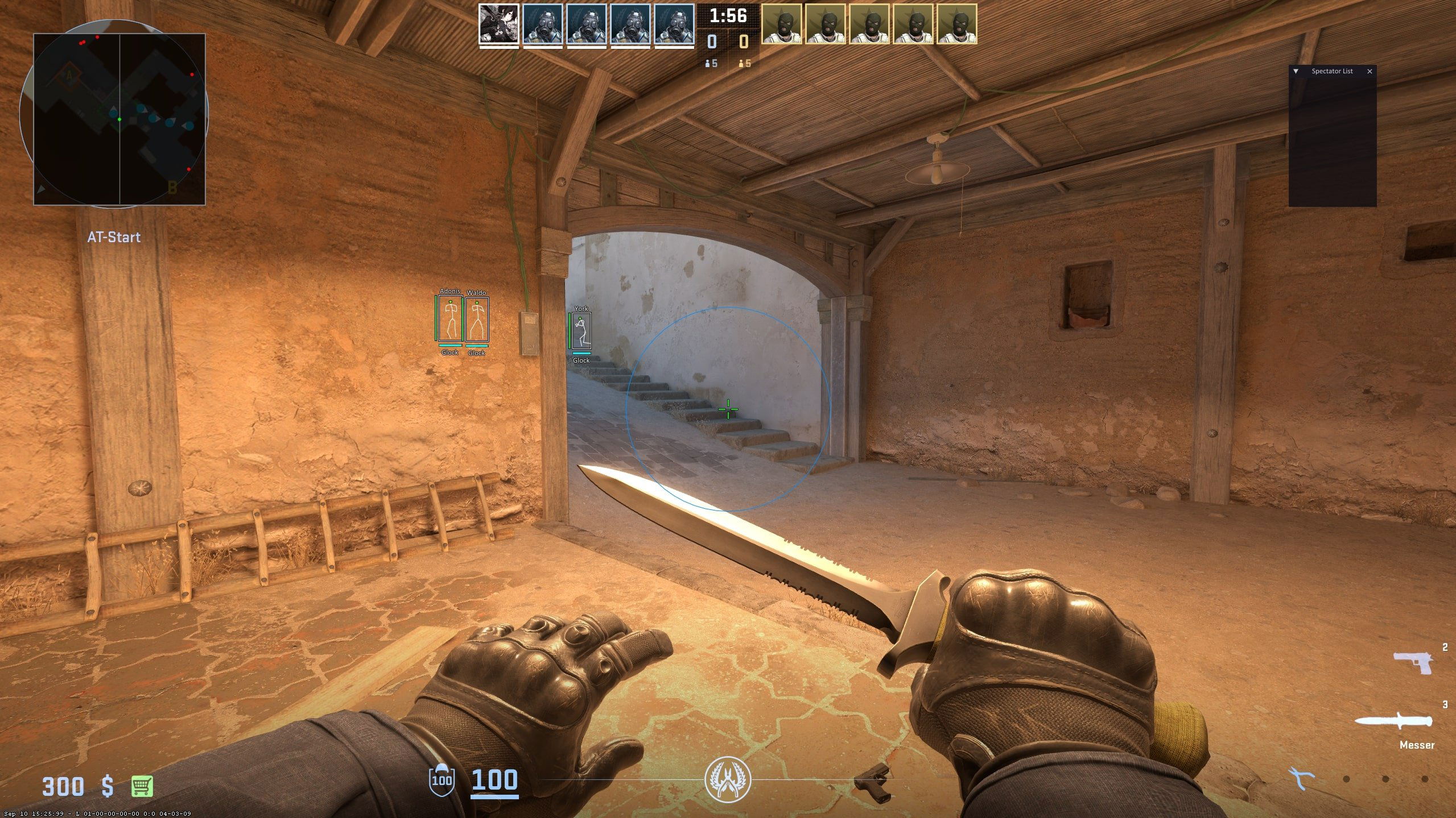 CS2 ESP