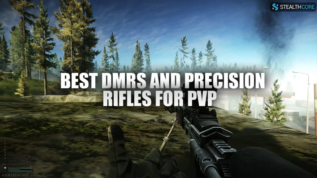 best dmr and precision rifles